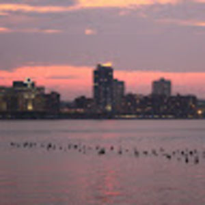 Meet your Posher, Elina